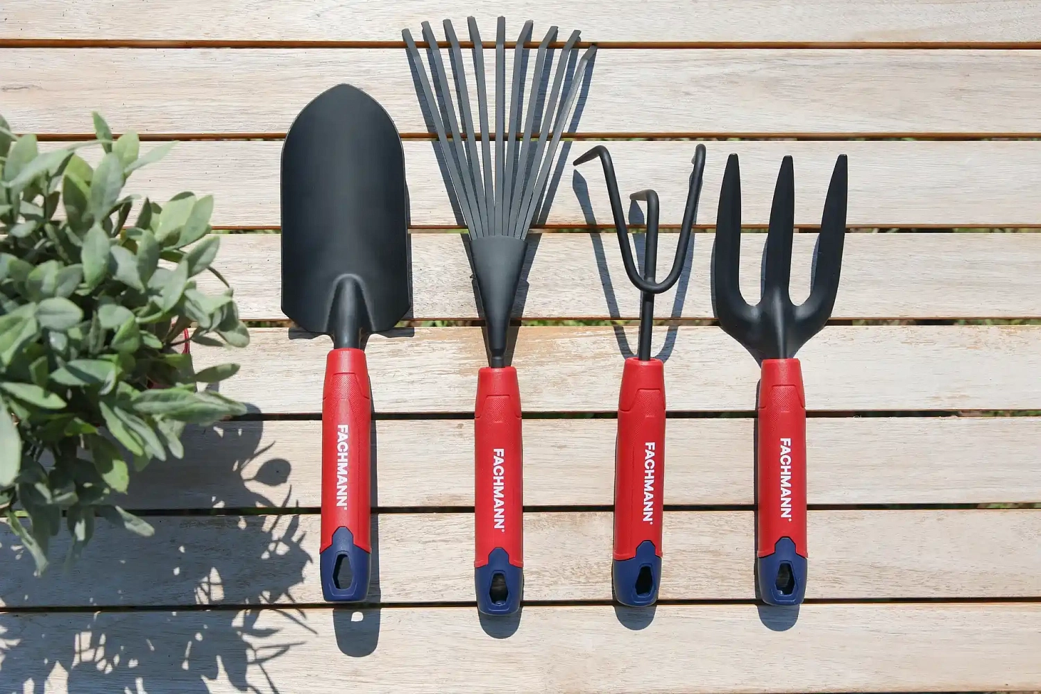 Грабельки веерные FACHMANN Garten